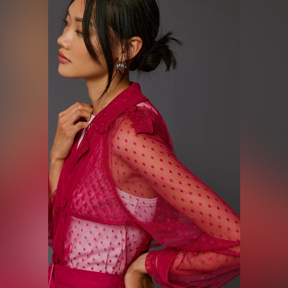 Anthropologie Fuchsia Sheer Dotted Trench Dress - Picture 5 of 16